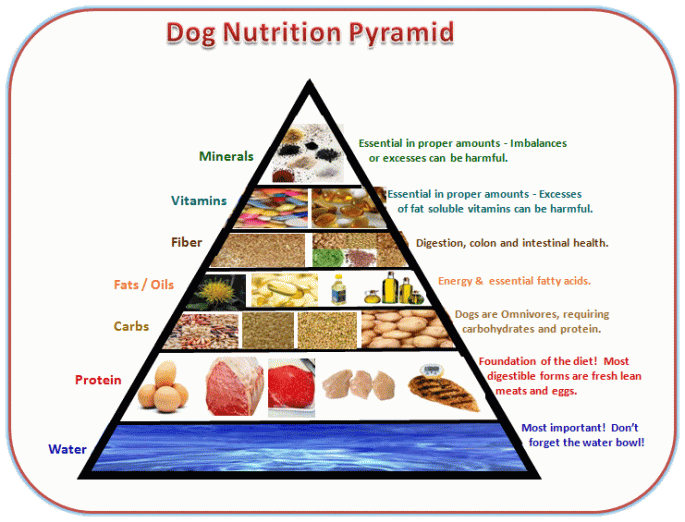 Independent Dog Food Analysis Pyramid