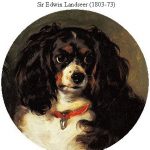 Dash, Queen Victoria's Spaniel