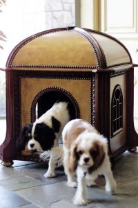 Two Cavalier puppies in their fancy dog house