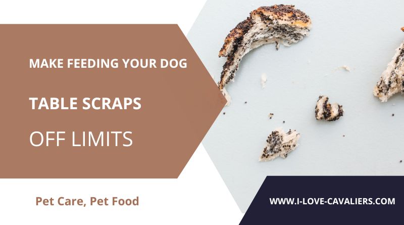 Make feeding your dog table scraps off limits