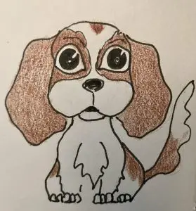 Drawing of a Cavalier Spaniel
