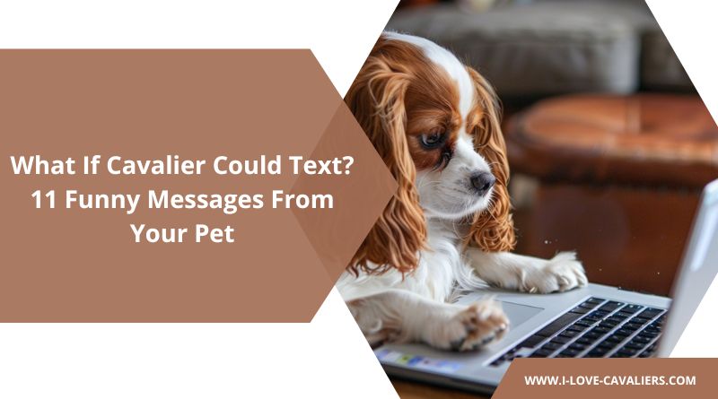 What If Cavalier Could Text 11 Funny Messages From Your Pet