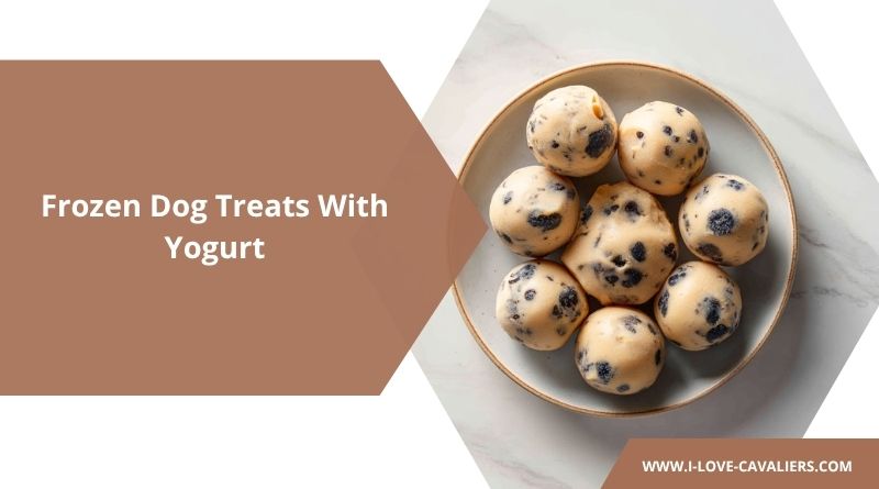 Frozen Dog Treats With Yogurt