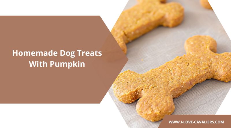 Homemade Dog Treats With Pumpkin