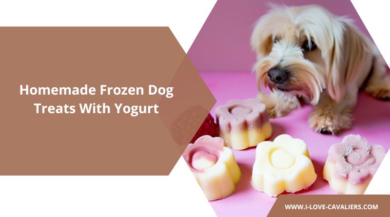 Homemade Frozen Dog Treats With Yogurt