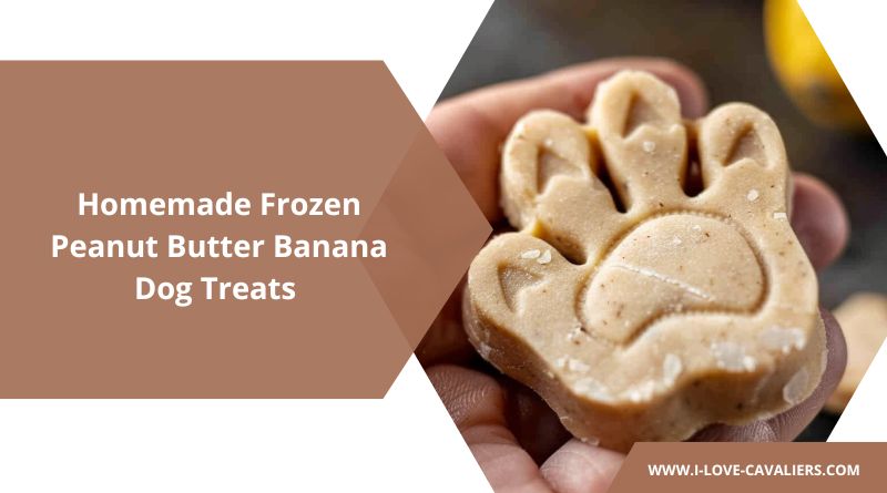 Homemade Frozen Peanut Butter Banana Dog Treats