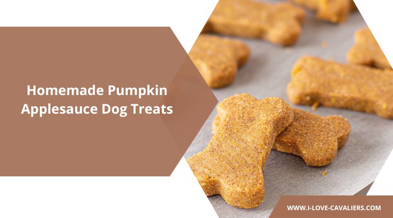 Homemade Pumpkin Applesauce Dog Treats