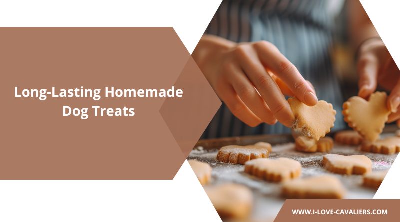 Long-Lasting Homemade Dog Treats