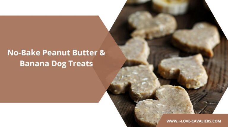 Easy No-Bake Homemade Peanut Butter and Banana Dog Treats