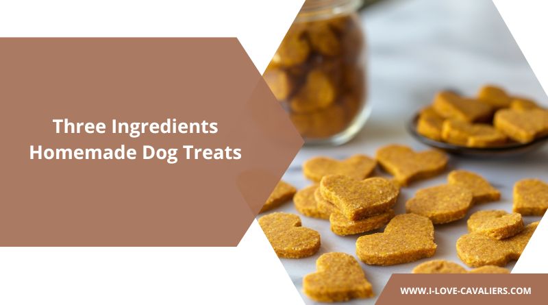 3 ingredient dog treats