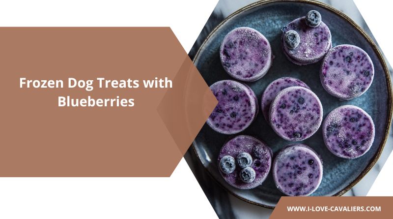 4 Homemade Frozen Dog Treats with Blueberries