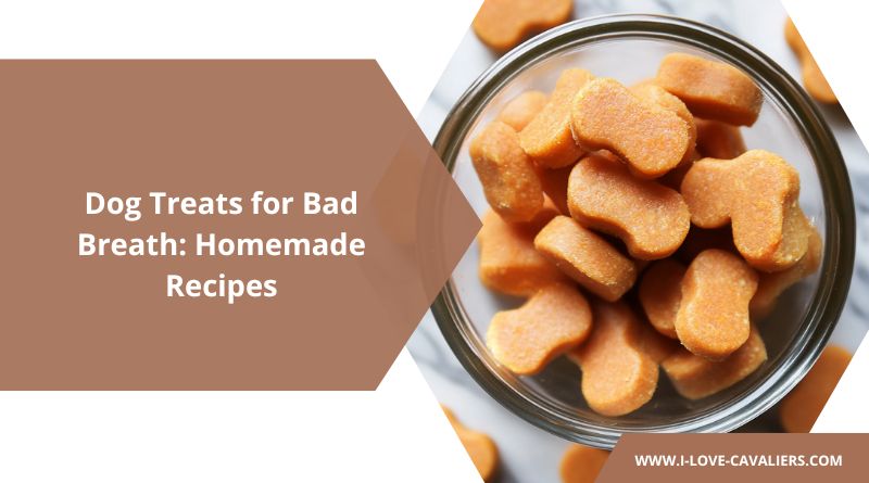 Dog Treats for Bad Breath Homemade Recipes