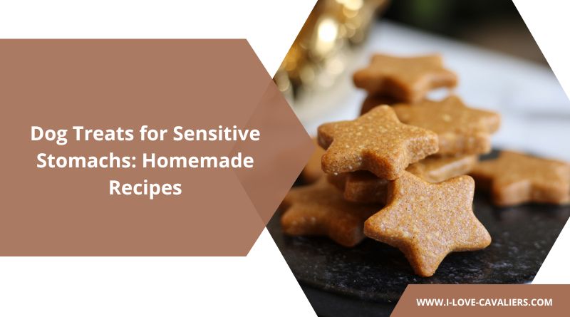 Dog Treats for Sensitive Stomachs Homemade Recipes