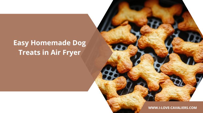 Easy Homemade Dog Treats in Air Fryer