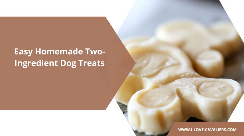 Easy Homemade Two-Ingredient Dog Treats