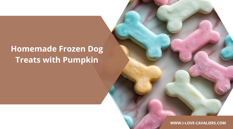 Frozen Dog Treats with Pumpkin