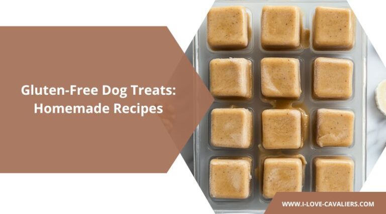 Picture of Gluten-Free Dog Treats: 10 Homemade Recipes
