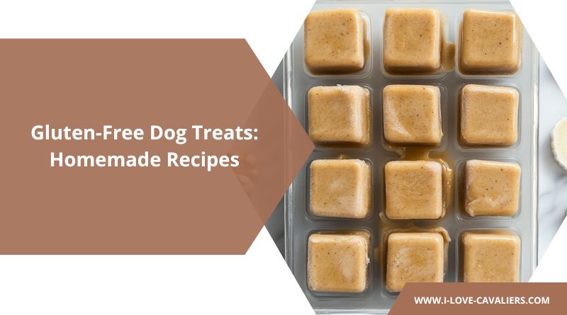 Gluten-Free Dog Treats Homemade Recipes