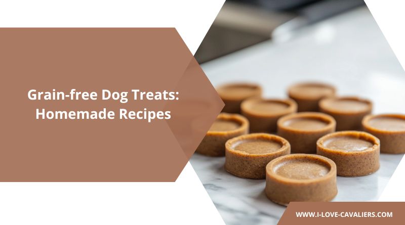 Grain-free Dog Treats Homemade Recipes