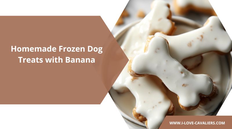 Homemade Frozen Dog Treats with Banana