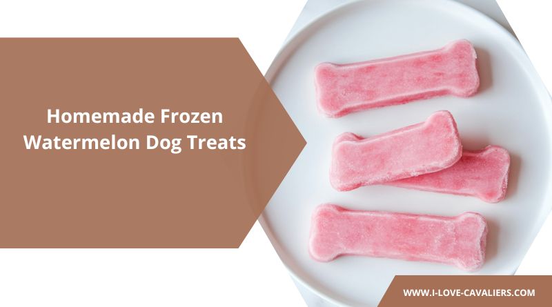 Homemade Frozen Watermelon Dog Treats