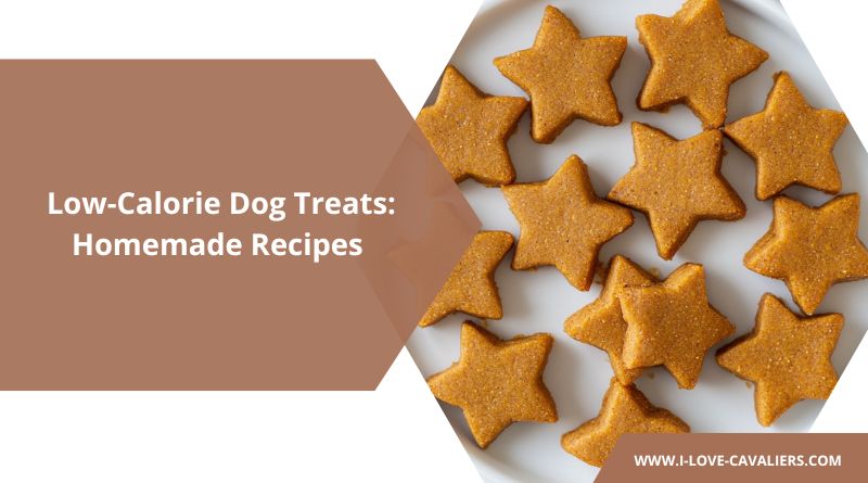 Low-Calorie Dog Treats Homemade Recipes