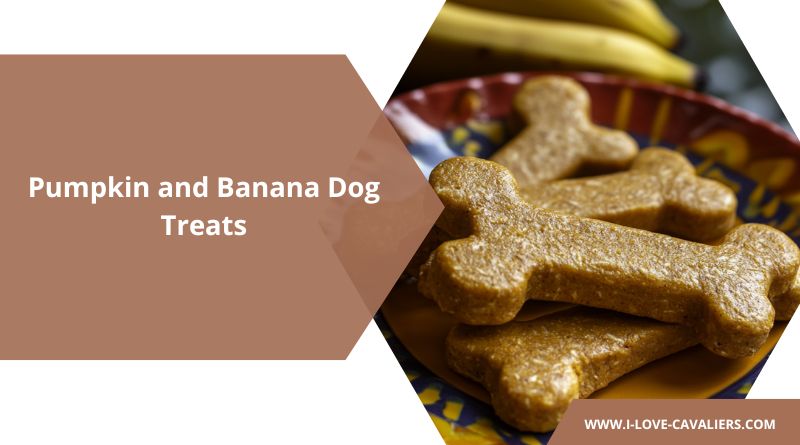 Pumpkin and Banana Dog Treats