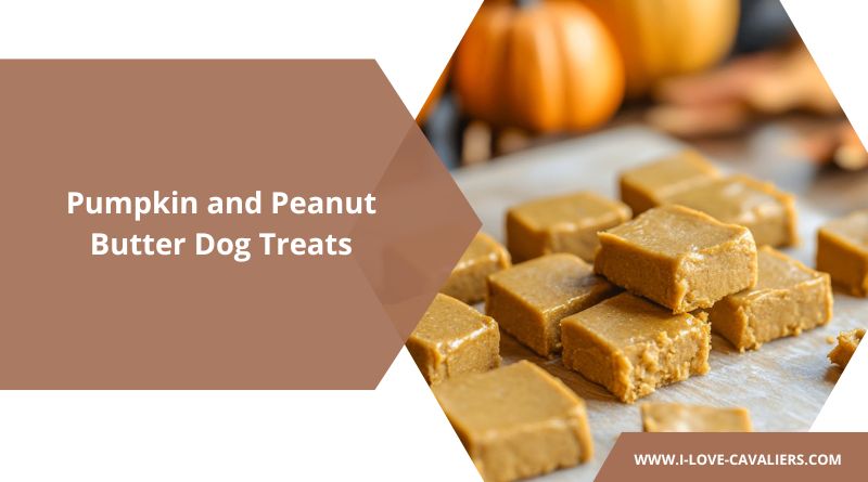 Pumpkin and Peanut Butter Dog Treats