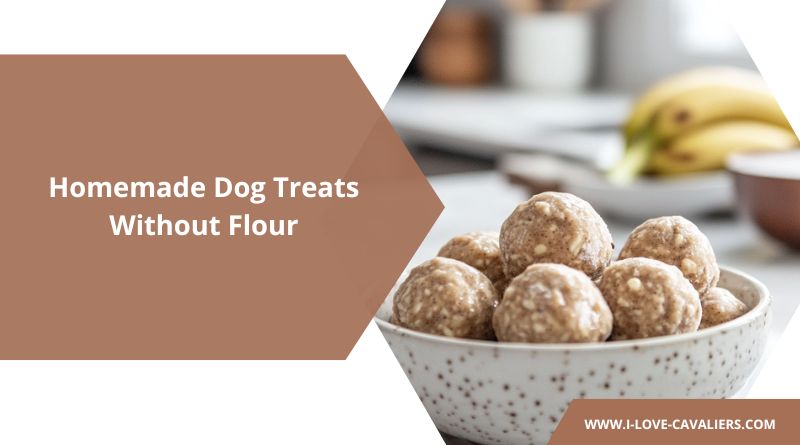 Homemade Dog Treats Without Flour