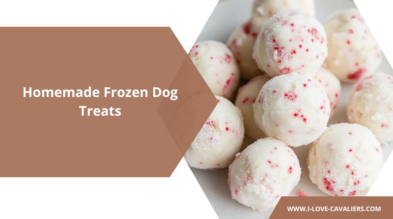 Homemade Frozen Dog Treats