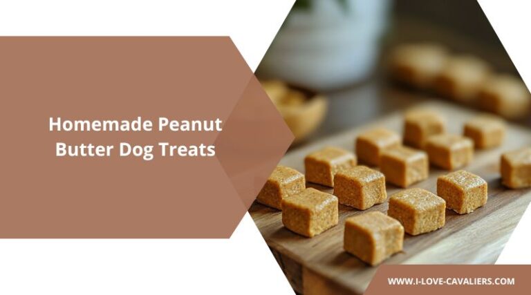 10 Homemade Peanut Butter Dog Treats - Coconut Oil And Peanut Butter Dog Treats
