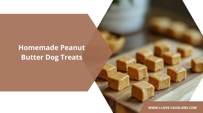 Homemade Peanut Butter Dog Treats