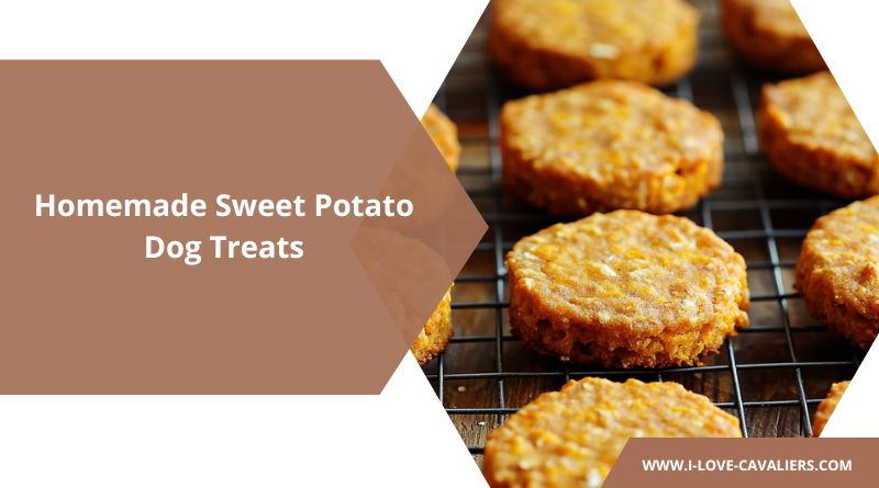 Homemade Sweet Potato Dog Treats