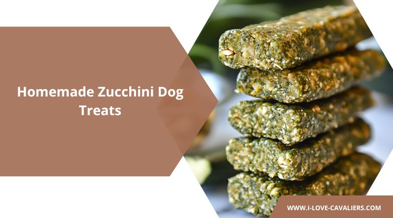 Homemade Zucchini Dog Treats