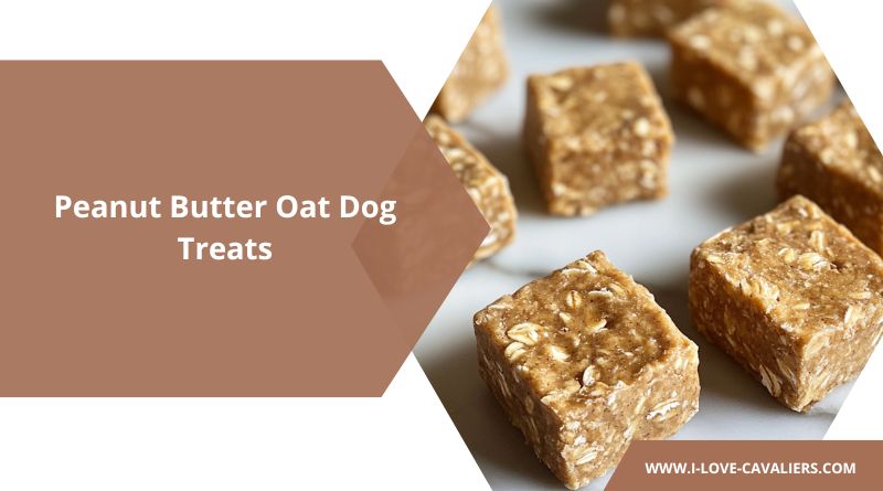 Peanut Butter Oat Dog Treats