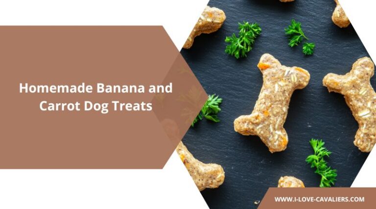 Easy Homemade Banana and Carrot Dog Treats Recipe
