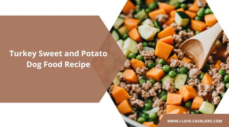 Picture Idea: Homemade Turkey Sweet And Potato Dog Food Recipe A Nutritious