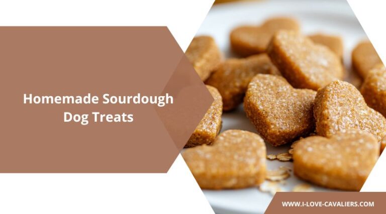 Homemade Banana Honey Dog Treats: A Sweet and Nutritious Snack for Your Pup - Can Dogs Have Raw Honey And Banana