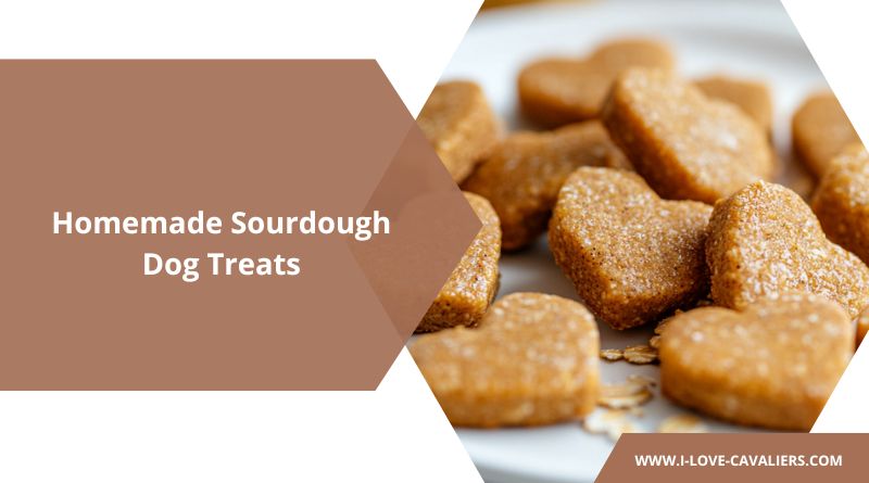 Banana Honey Dog Treats