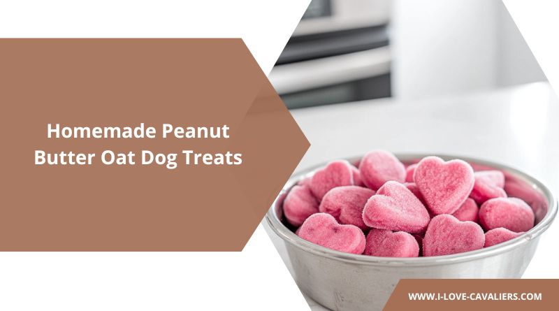 Banana Strawberry Dog Treats