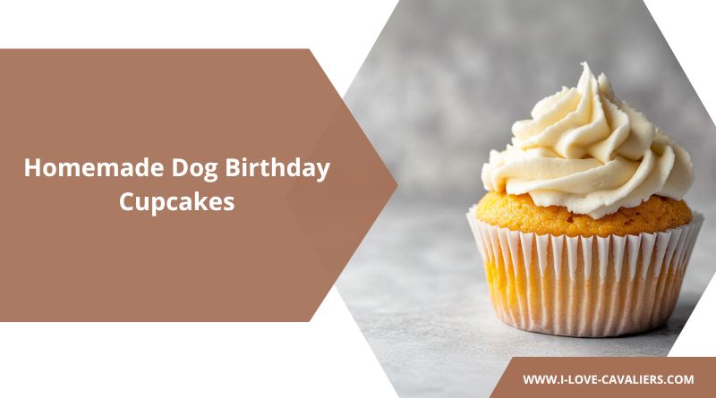 Dog Birthday Cupcakes