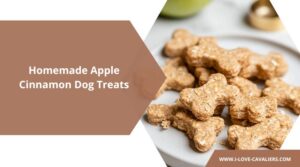 Easy Homemade Apple Cinnamon Dog Treats