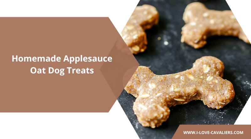 Homemade Applesauce Oat Dog Treats