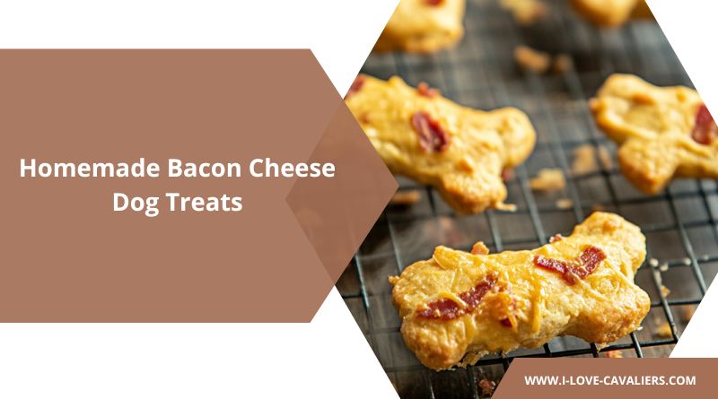 Homemade Bacon Cheese Dog Treats