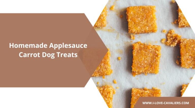 Image showcasing Homemade Carrot Applesauce Dog Treats: A Healthy Snack For Your Pup