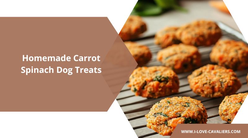 Homemade Carrot Spinach Dog Treats