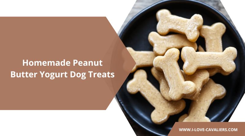 Peanut Butter Yogurt Dog Treats