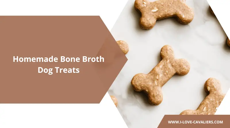 chicken broth dog treats