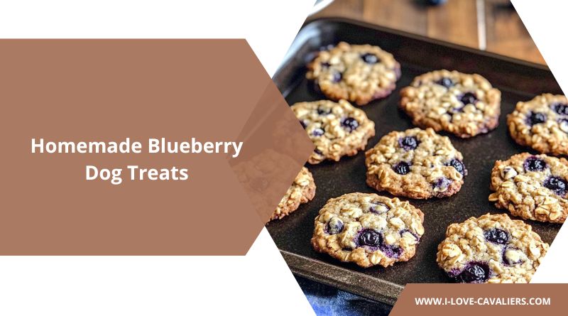 Blueberry Dog Treats