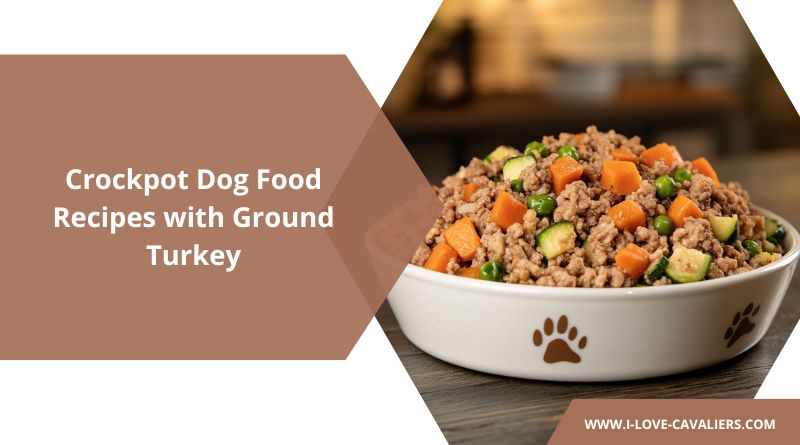 Crockpot Dog Food Recipes with Ground Turkey